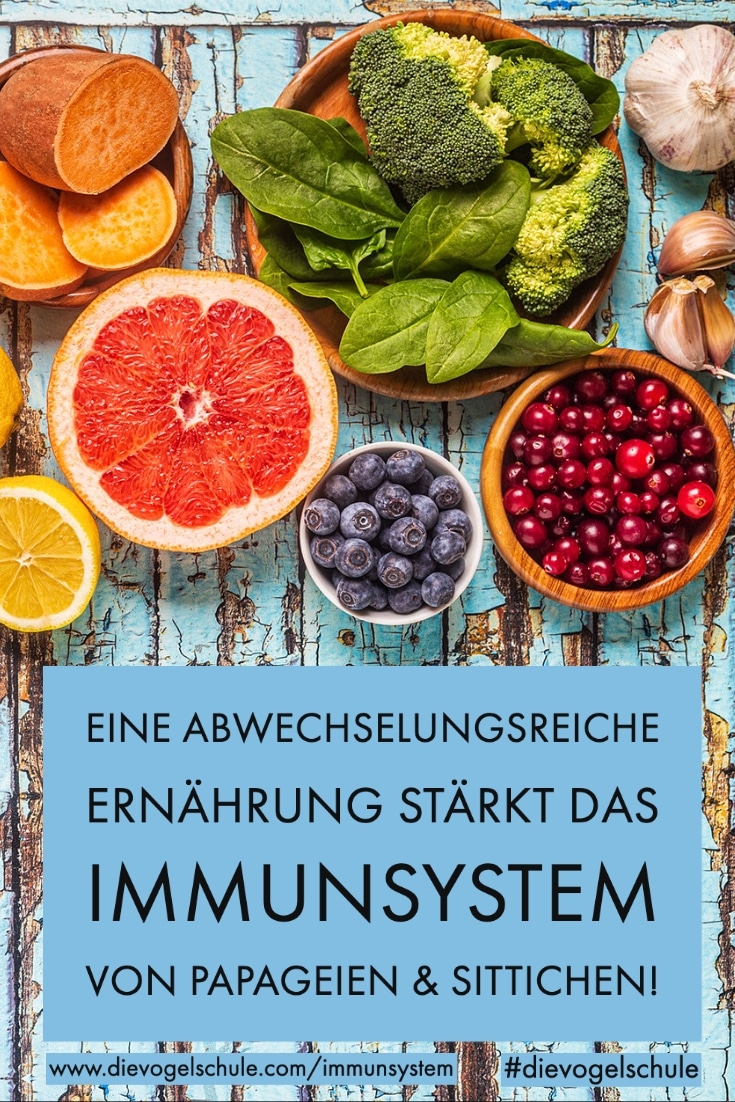 Immunsystem von Papageien P Immunsystem von Papageien P