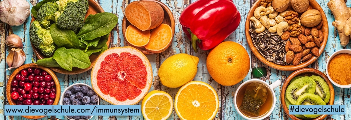 Immunsystem von Papageien WP Immunsystem von Papageien