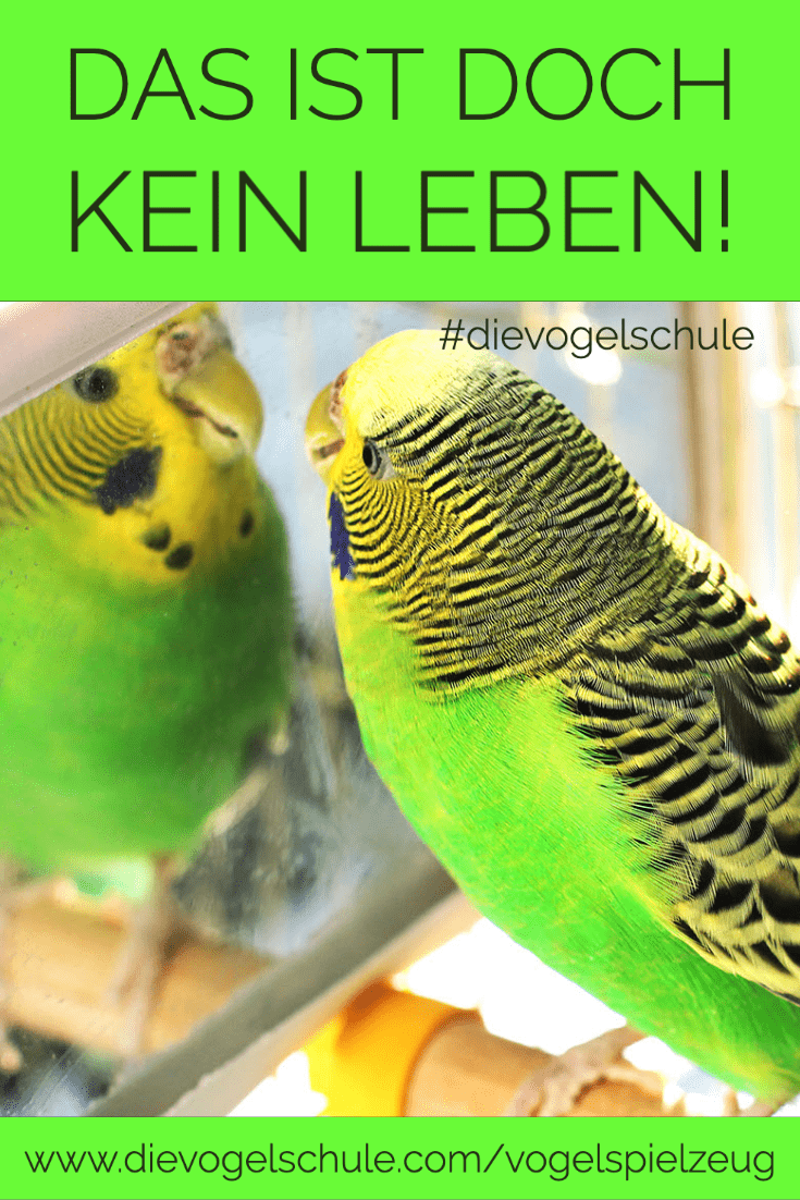 Papageien-Spielzeug P1 Papageien-Spielzeug Wellensittich mit Spiegel