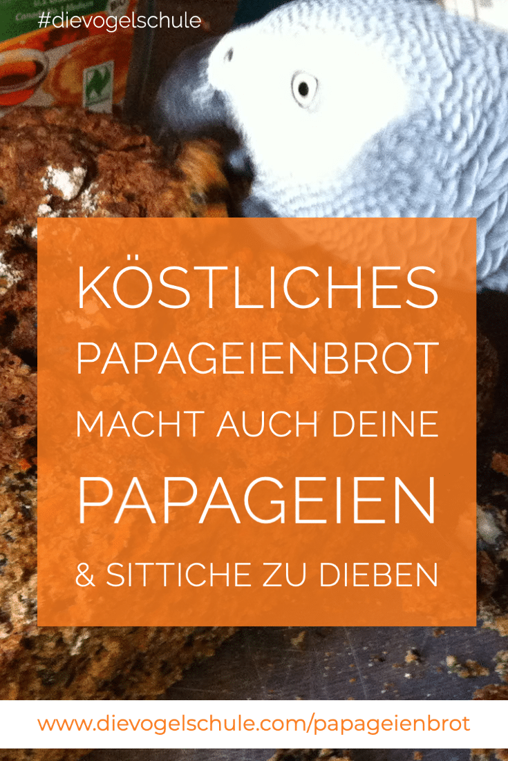 Papageienbrot P-1 Papageienbrot Graupapagei