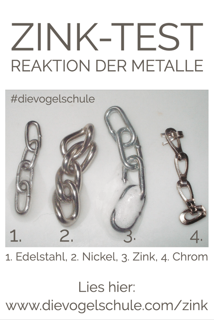 Zink Vogelkäfig Test Durchführung