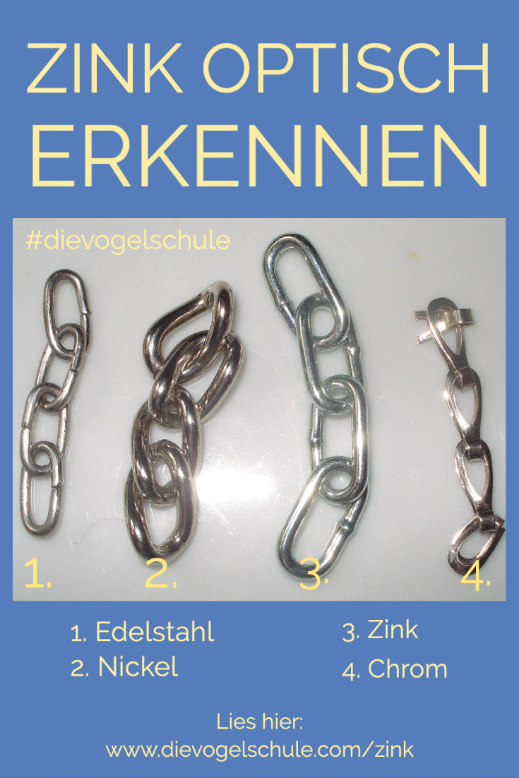 Zink Vogelkäfig optisch testen 