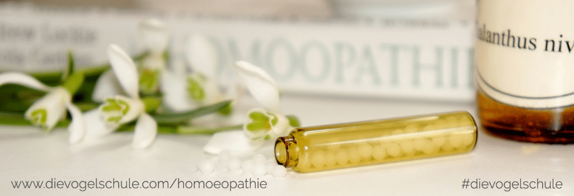 Wiesenkräuter - Frischkost für Papageien und Sittiche Wiesenkräuter - Frischkost für Papageien und Sittiche