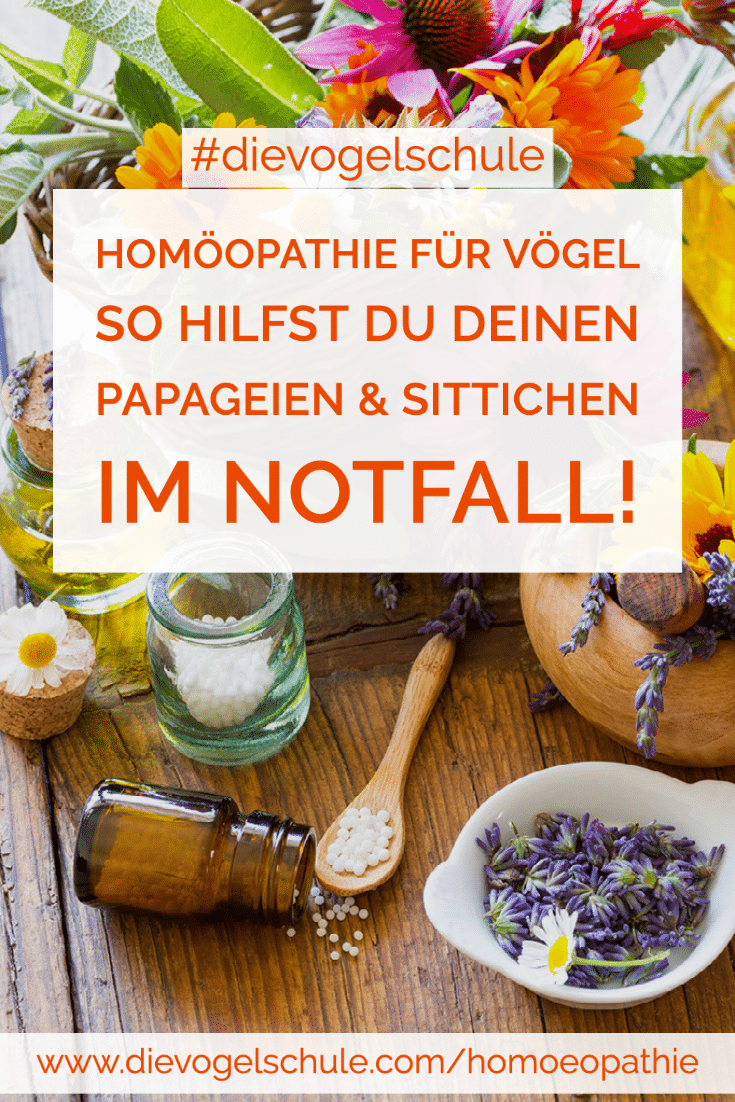 Homoeopathie für Vögel 
