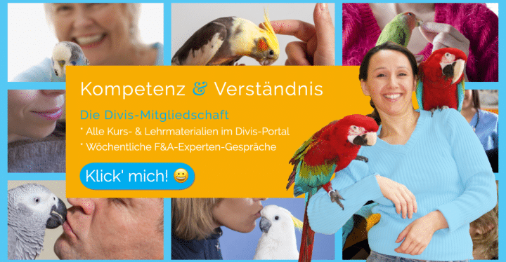 DIVIS-Papageien-Vögel-Wellensittiche
