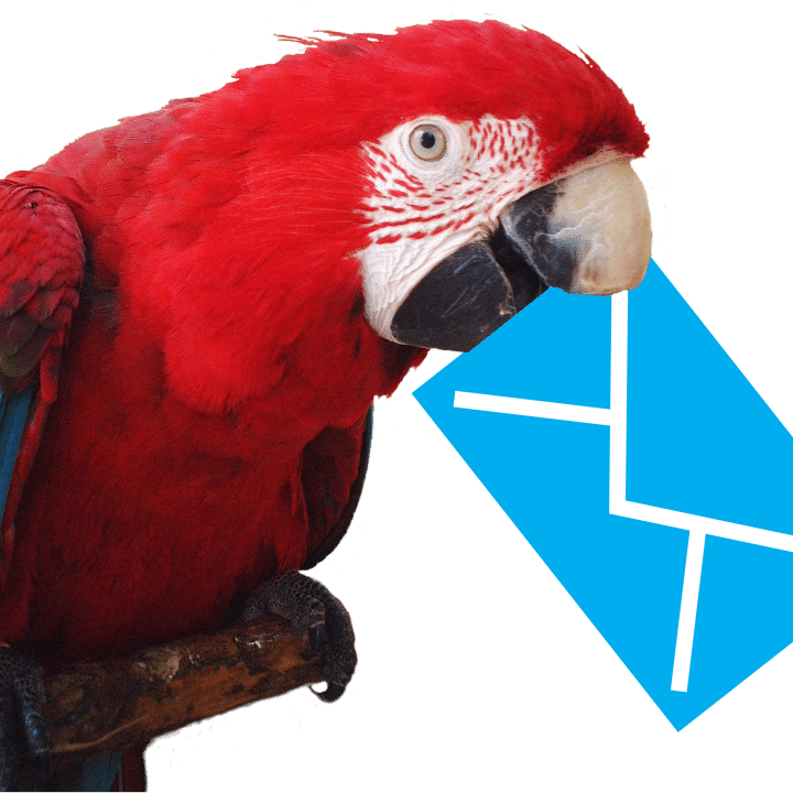 Newsletter Papageien Wellensittiche Newsletter Papageien Wellensittiche