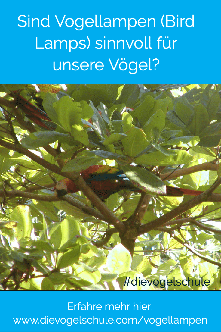 Vogellampen Bird Lamps P-01 Vogellampen Bird Lamps Aras