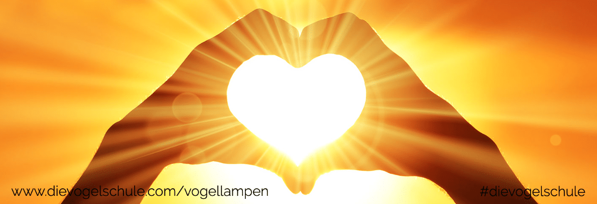 Sind Vogellampen (Bird Lamps) sinnvoll für unsere Vögel? Sind Vogellampen (Bird Lamps) sinnvoll für unsere Vögel?