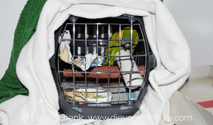 Zwergara EMA-Komplex Zwergara EMA-Komplex