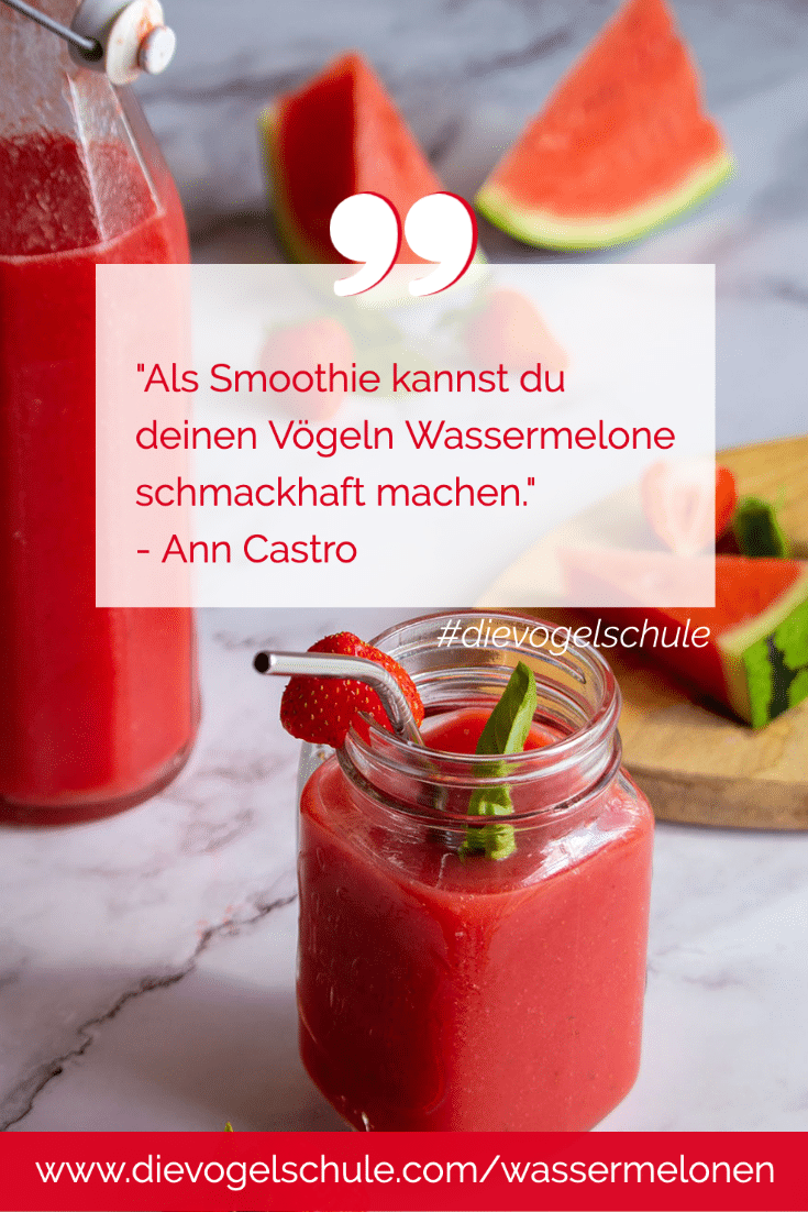 Wassermelonen Smoothie Wassermelonen Smoothie