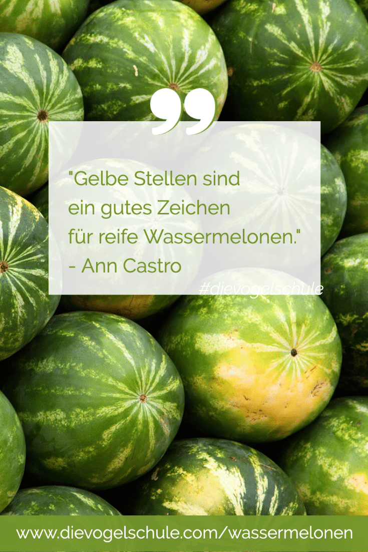 Wassermelonen reif P02 Wassermelonen reif P02