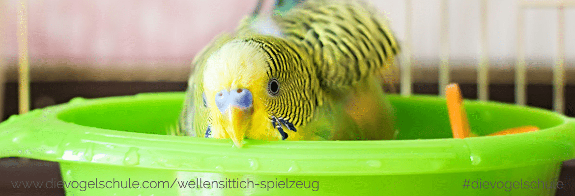 Wellensittich Spielzeug