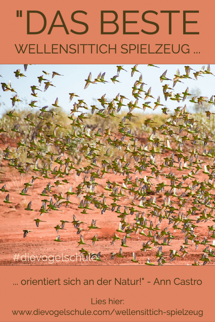 Wellensittich-Spielzeug