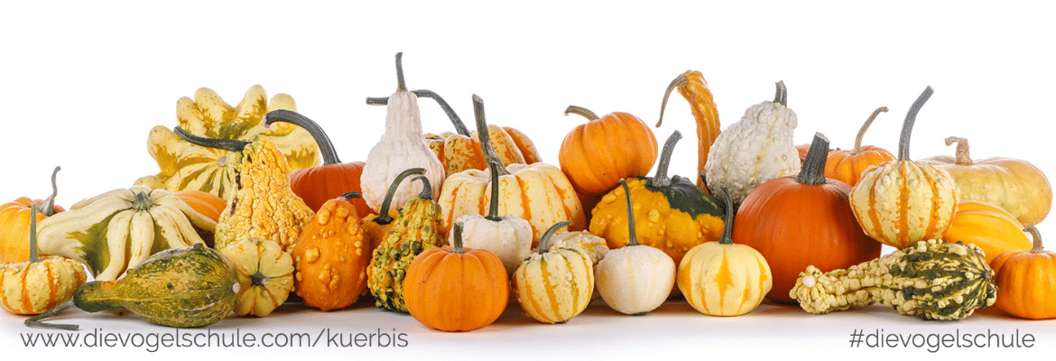 Select Dynamic field