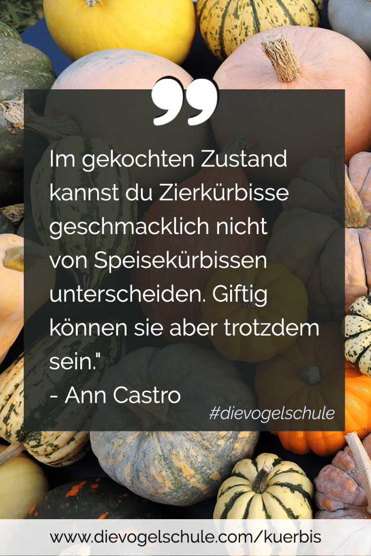 Welche Kürbisse sind essbar für Vögel?