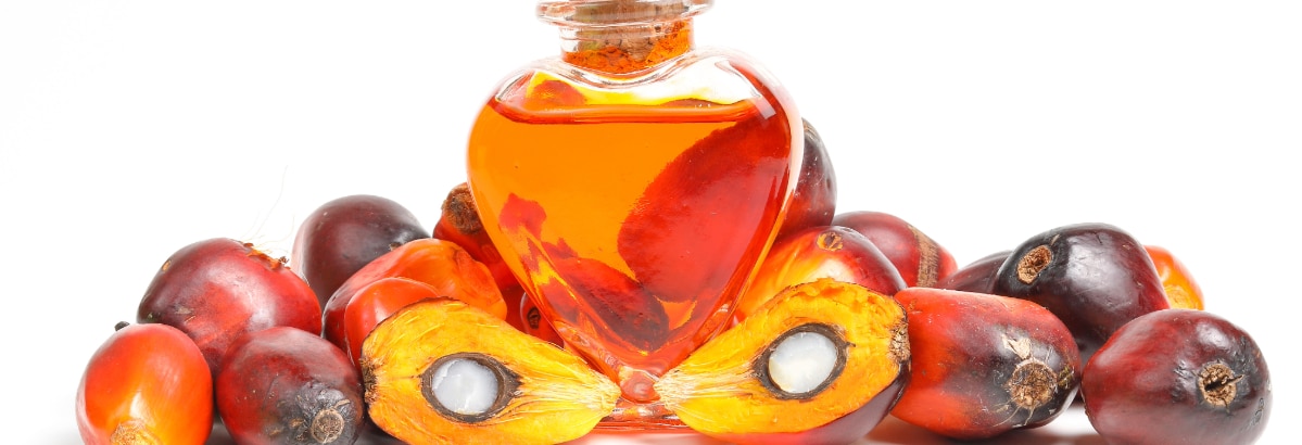 Select Dynamic field