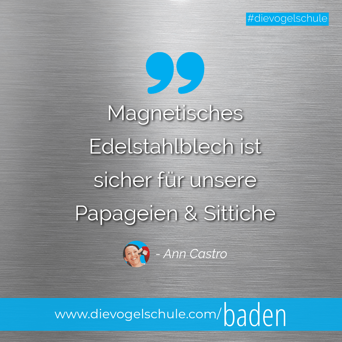 Baden Edelstahlblech Papageien Sittiche Baden Edelstahlblech Papageien Sittiche