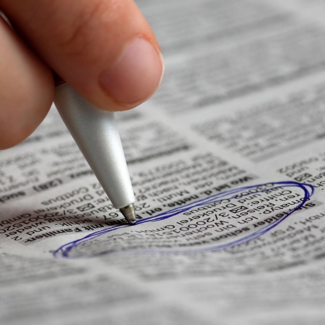 Papagei abgeben adoptieren Themen