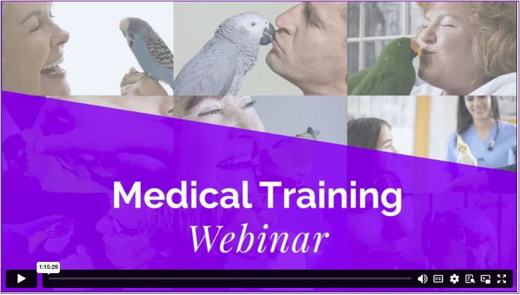 Medical-Training-Poster Medical-Training Webinar